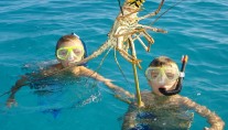 SOLSTICE -  Diving for Lobster
